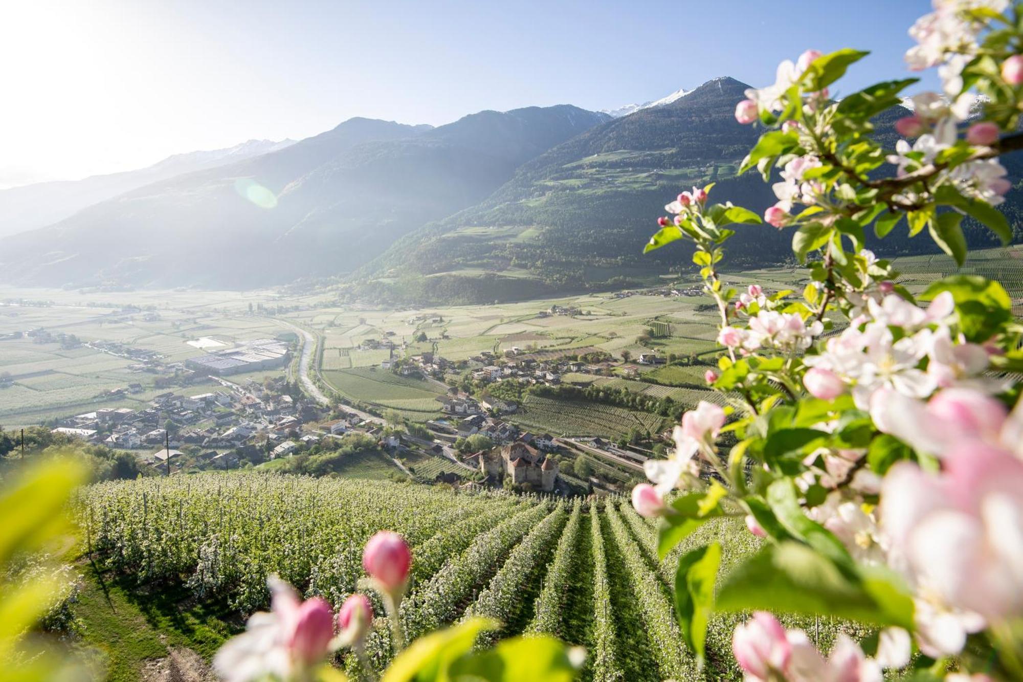 Lindenhof Pure Luxury & Spa Dolcevita Resort Naturns Exterior photo